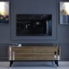 Festival Tv Ünitesi S6302-2 Ceviz Silver 120 Cm Tv Sehpası Minifiks Bağlantı Dışarıdan Vida Gözükmez