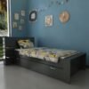 Trend Yavrulu Karyola Q4013-4 Antrasit
