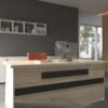 Festival Ofis Masası - OFİS-10-8-4-160X60 Beyaz - Antrasit