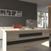 Festival Ofis Masası - OFİS-9-8-4-160X90 Beyaz - Antrasit