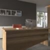 Festival Ofis Masası - OFİS-4-2-2-120X60 Beyaz - Ceviz